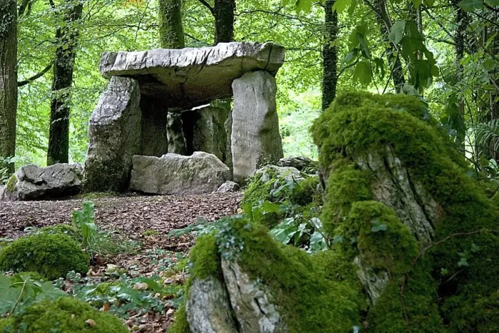 Framed Print : Dolmen at Craggaunowen Project Print Framed Print : Dolmen at Craggaunowen Project Print