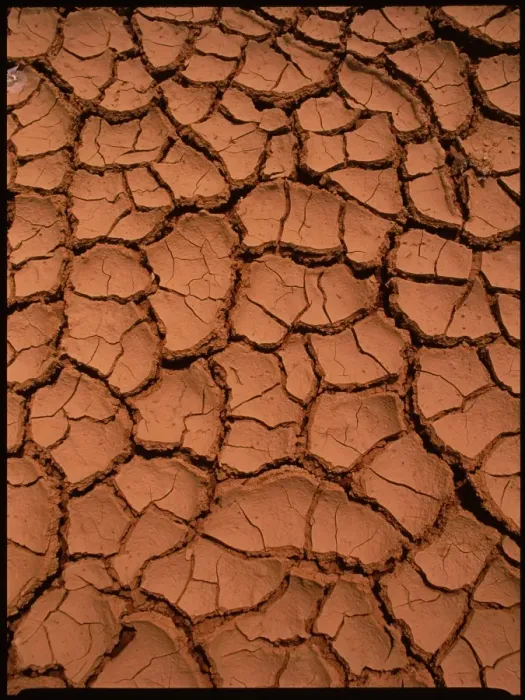 Framed Print : Dried Mud Print - Cracked Earth Pattern Framed Print : Dried Mud Print - Cracked Earth Pattern