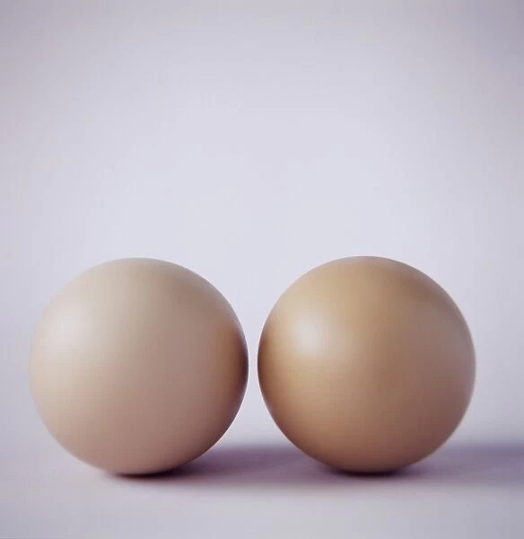 Two eggs in their shells. Eggs are a good dietary source of protein