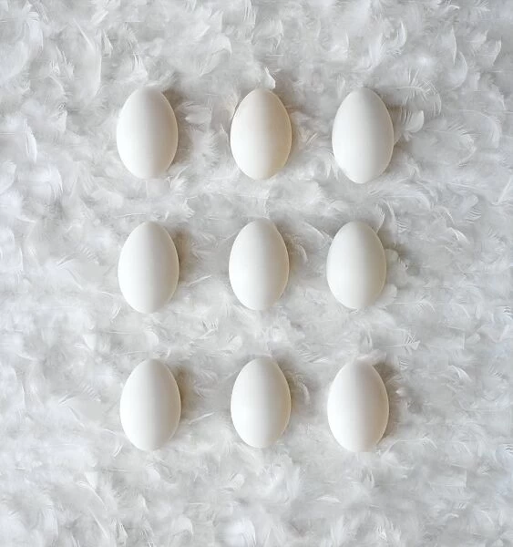 Eggs on feathers, conceptual image