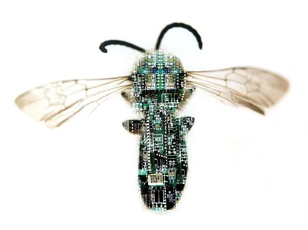 Electronic wasp
