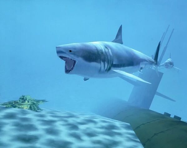 Example of Reality Centre graphics, shark