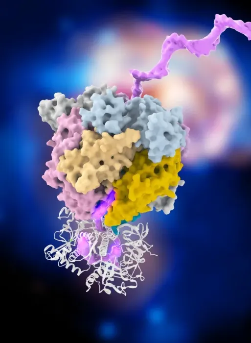 Framed Print : Exosome complex molecular model print Framed Print : Exosome complex molecular model print