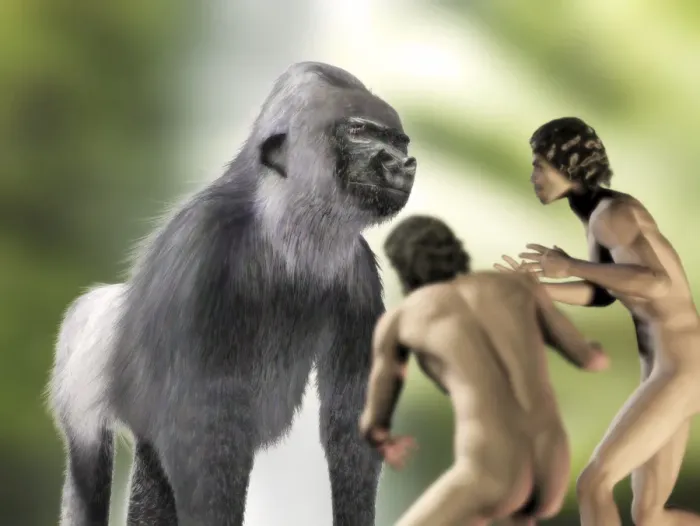 Framed Print : Gigantopithecus sp. Print, Artists Impression of an Extinct Giant Gorilla Framed Print : Gigantopithecus sp. Print, Artists Impression of an Extinct Giant Gorilla