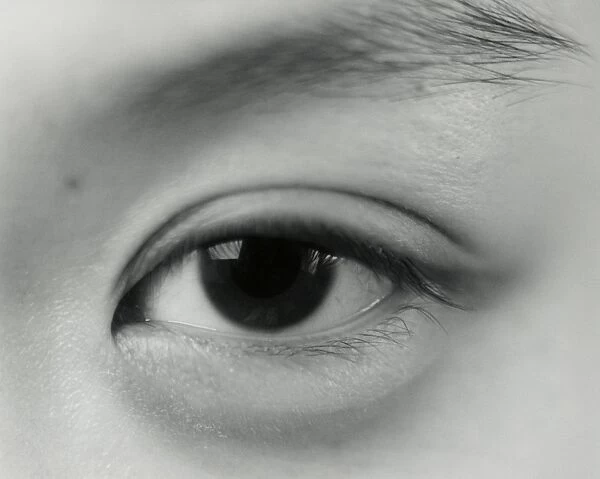 Eye. Close-up of a womans eye