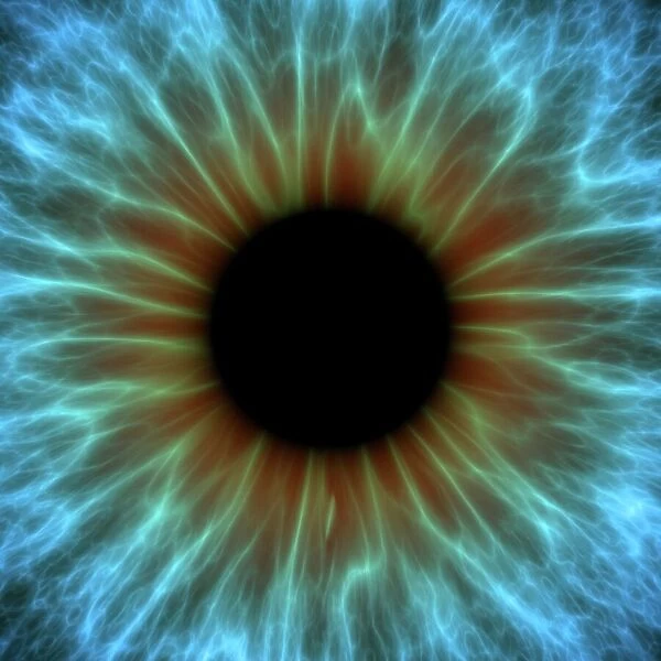 Eye, iris. Eye. Computer artwork of a close-up of the iris and pupil of an eye