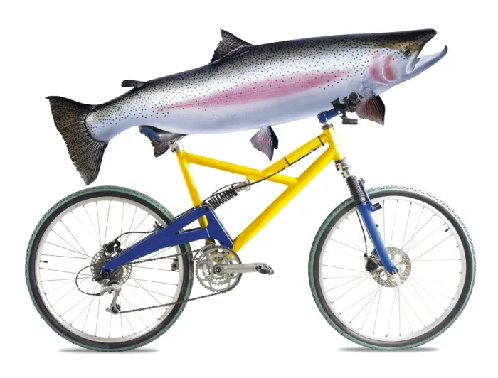 Framed Print : Fish on a Bicycle Print Framed Print : Fish on a Bicycle Print