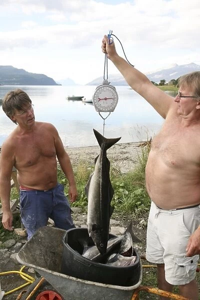 Fishermen weighing their catch