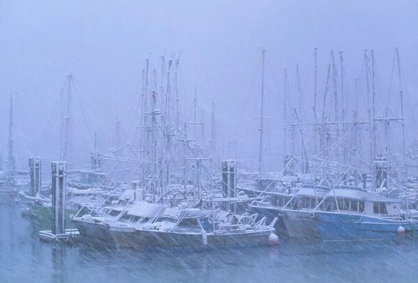 Fishing boats in harbour during a blizzard