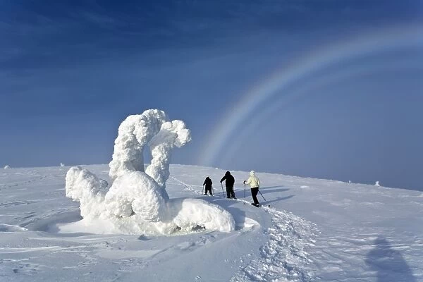 Fogbow and snowy landscape C016  /  5820