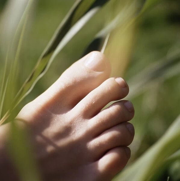 Foot amongst grass. Photographed in summer
