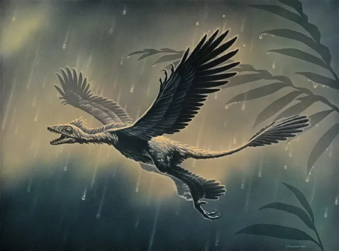 Framed Print : Four-winged dinosaur Print