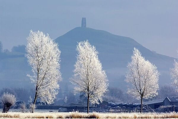 Frost-covered trees and Glastonbury Tor