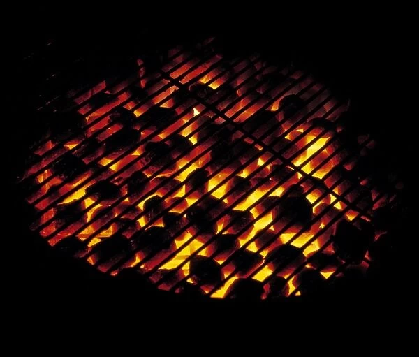 Glowing barbecue embers under a grill