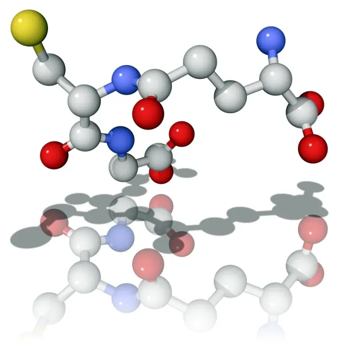 Framed Print : Glutathione Molecular Model Print Framed Print : Glutathione Molecular Model Print