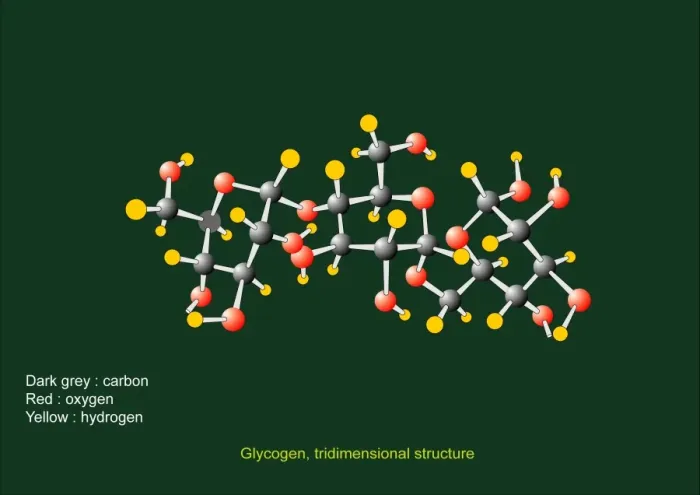 Framed Print : Glycogen units Molecular Print Framed Print : Glycogen units Molecular Print