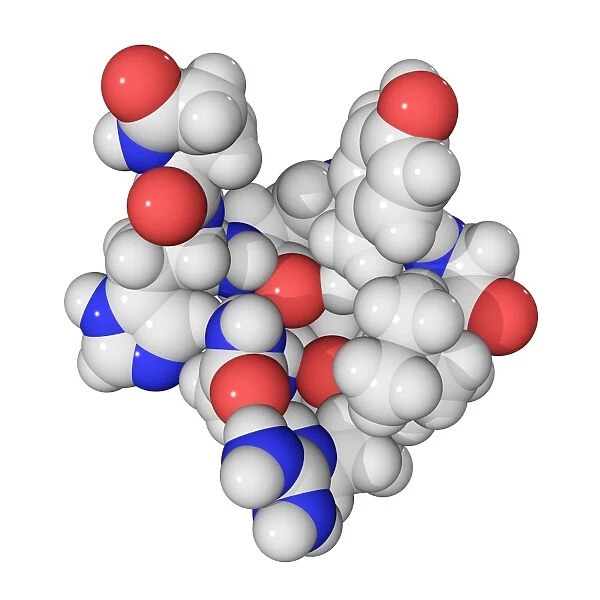 Gonadotrophin-releasing hormone molecule