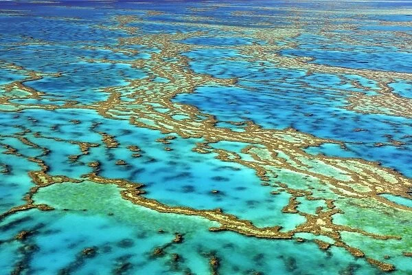 Great Barrier Reef, Australia C018  /  1802