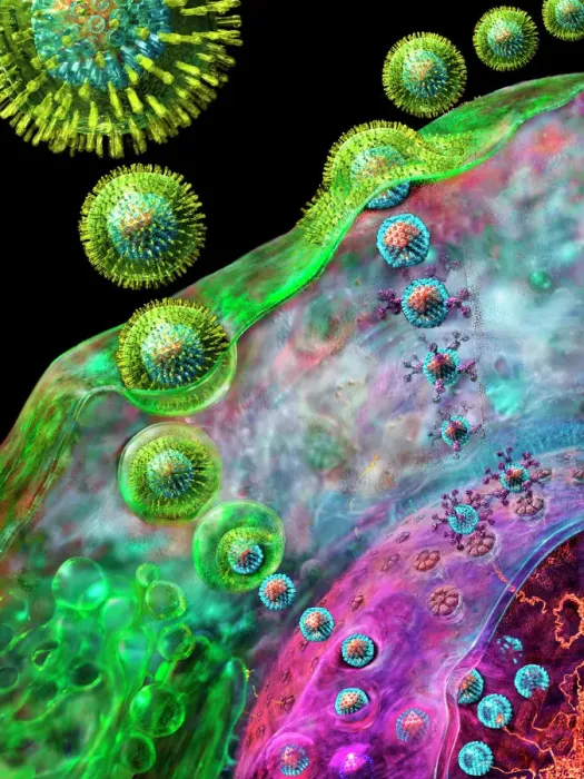 Framed Print : Herpes Virus Replication Print Framed Print : Herpes Virus Replication Print