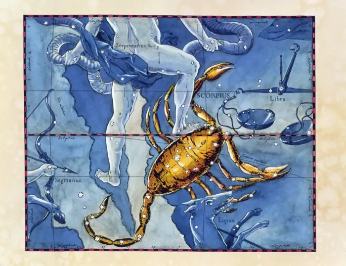 Framed Print : Historical Print of Scorpius Constellation Framed Print : Historical Print of Scorpius Constellation