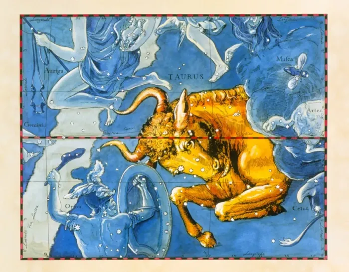 Framed Print : Colour print of the constellation Taurus, a bull charging at Orion's shield Framed Print : Colour print of the constellation Taurus, a bull charging at Orion's shield