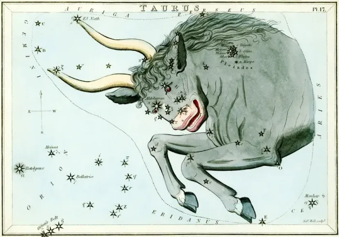 Framed Print : Taurus Constellation Print Framed Print : Taurus Constellation Print