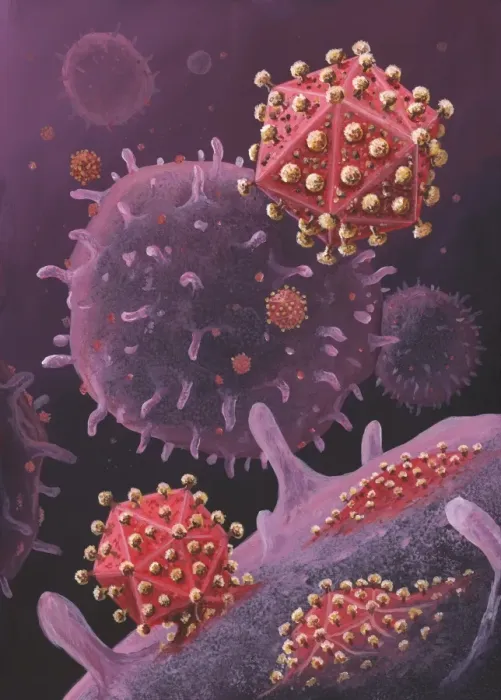 Framed Print : HIV particles exiting a cell Print Framed Print : HIV particles exiting a cell Print