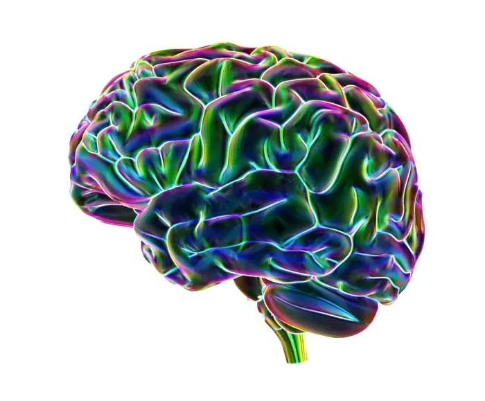 Framed Print : Human Brain Computer Artwork Print Framed Print : Human Brain Computer Artwork Print