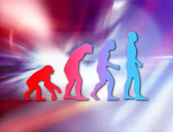 Framed Print : Human Evolution Print: Four Stages in Human Development Framed Print : Human Evolution Print: Four Stages in Human Development