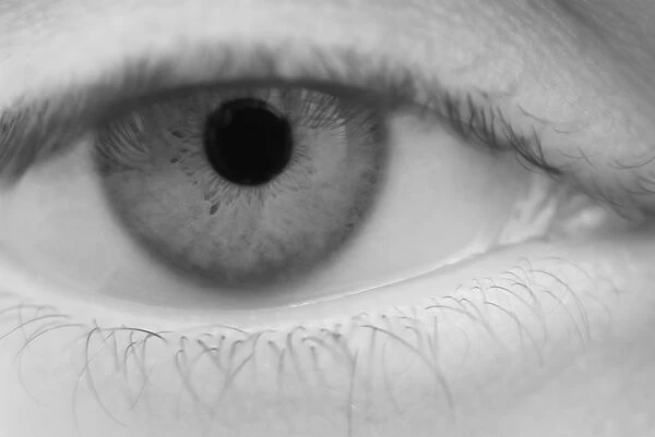 Human eye, infrared image C013  /  7321