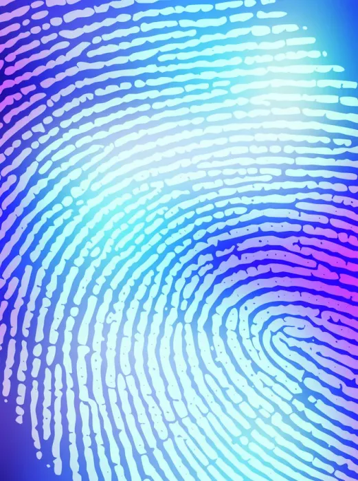 Framed Print : Human fingerprint Print Framed Print : Human fingerprint Print