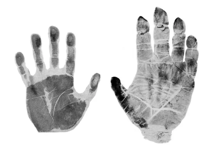 Framed Print : Human and Gorilla Handprint Print Comparison Framed Print : Human and Gorilla Handprint Print Comparison