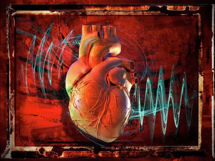 Framed Print : Human Heart Print Framed Print : Human Heart Print