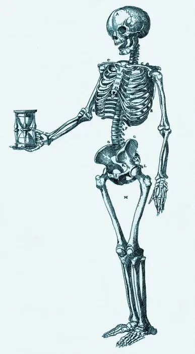 Framed Print : Human Skeleton Print Framed Print : Human Skeleton Print