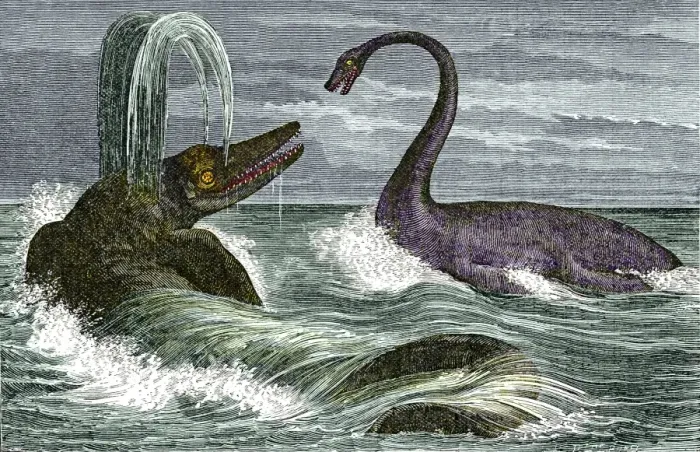Framed Print : Ichthyosaurus and Plesiosaurus Print, Early Jurassic marine reptiles Framed Print : Ichthyosaurus and Plesiosaurus Print, Early Jurassic marine reptiles