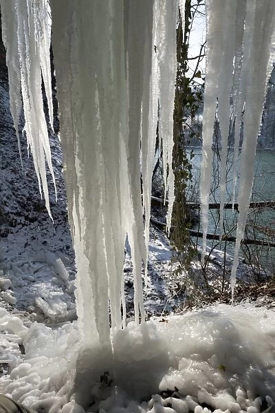 Icicles near a river C013  /  6073
