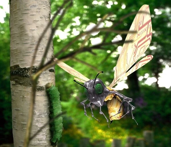 Insect robot