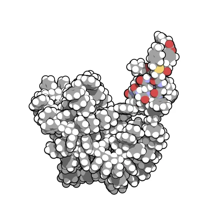 Framed Print : Insulin A chain Print - Solid Phase Peptide Synthesis Model Framed Print : Insulin A chain Print - Solid Phase Peptide Synthesis Model