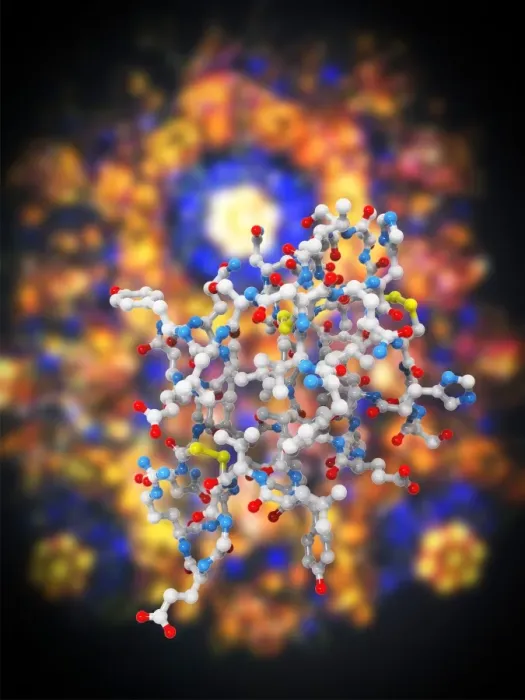 Framed Print : Insulin Molecule Print Framed Print : Insulin Molecule Print