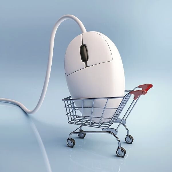 Internet shopping, conceptual artwork F006  /  8670