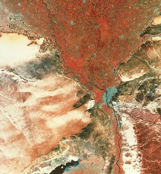 Landstat photo of Cairo & Nile delta
