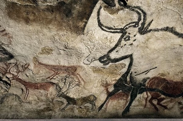 Lascaux II cave painting replica C013  /  7377