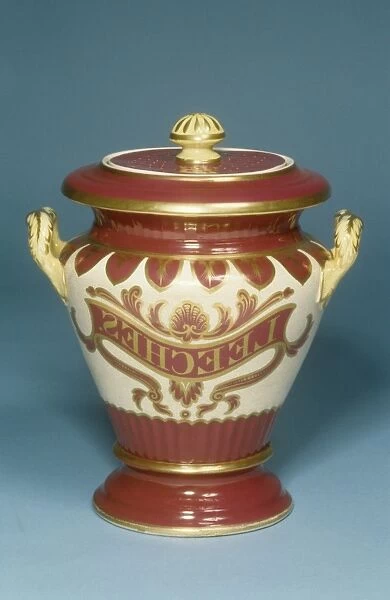 Leeches jar, 19th century C017  /  3566