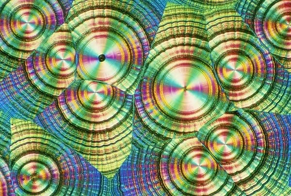 Light micrograph of vitamin C crystals