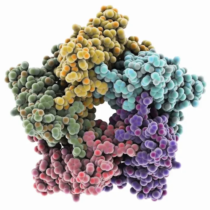 Framed Print : Lumazine Synthase Enzyme Print Framed Print : Lumazine Synthase Enzyme Print