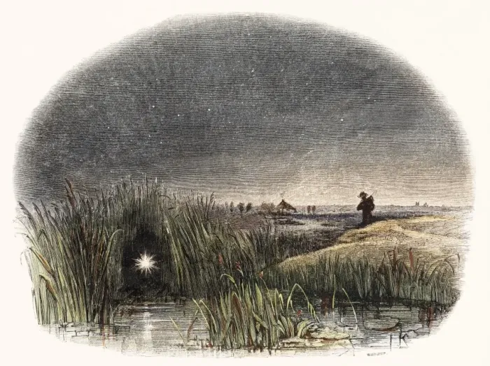Framed Print : 19th Century Marsh Light Print