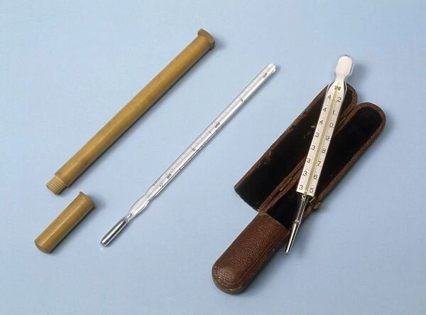 Medical thermometers, 19th century C017  /  0735