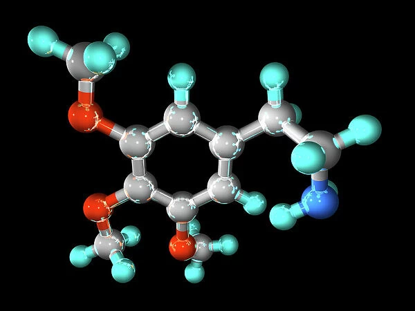 Mescaline hallucinogenic drug molecule