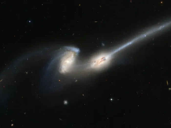 Framed Print : The Mice Colliding Galaxies Print Framed Print : The Mice Colliding Galaxies Print