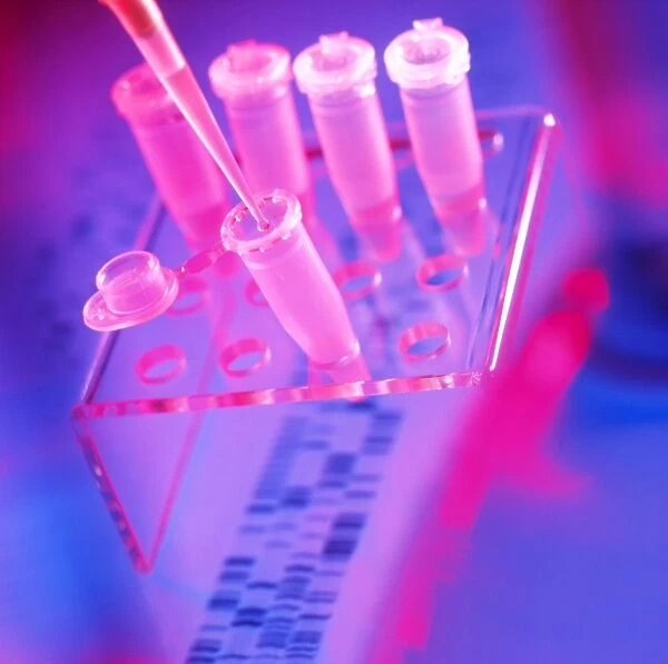 Microtubes, pipettor (pipette) tip & DNA sequence